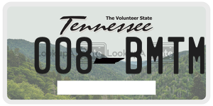 008BMTM  license plate in TN