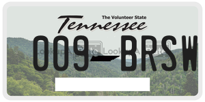 009BRSW  license plate in TN