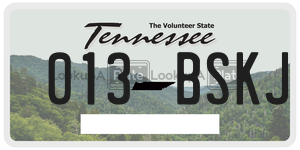 013BSKJ  license plate in TN