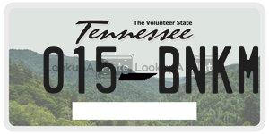 015BNKM  license plate in TN