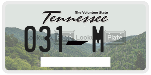 031M  license plate in TN