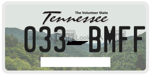 033BMFF  license plate in TN