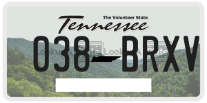 038BRXV  license plate in TN