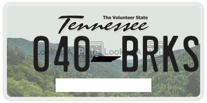 040BRKS  license plate in TN