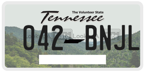 042BNJL  license plate in TN