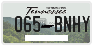 065BNHY  license plate in TN