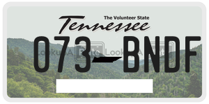 073BNDF  license plate in TN