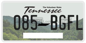 085BGFL  license plate in TN