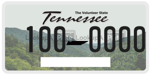 1000000  license plate in TN