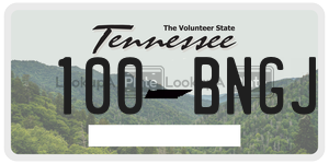 100BNGJ  license plate in TN