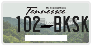 102BKSK  license plate in TN