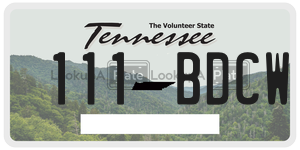 111BDCW  license plate in TN