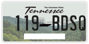 119BDSQ  license plate in TN