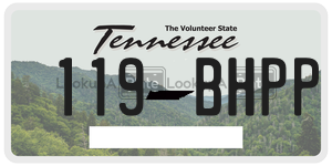 119BHPP  license plate in TN