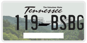 119BSBG  license plate in TN