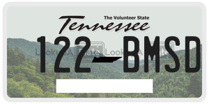 122BMSD  license plate in TN