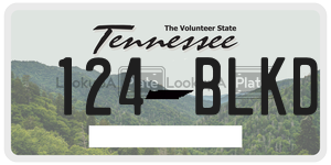 124BLKD license plate in Tennessee