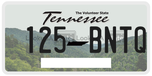 125BNTQ  license plate in TN