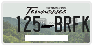 125BRFK  license plate in TN