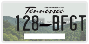 128BFGT  license plate in TN