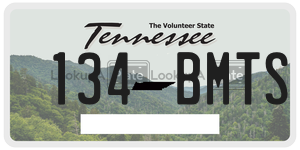 134BMTS  license plate in TN
