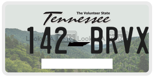 142BRVX  license plate in TN