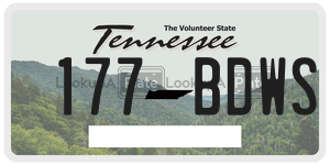 177BDWS  license plate in TN