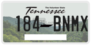 184BNMX  license plate in TN