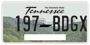 197BDGX  license plate in TN