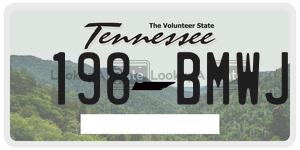 198BMWJ license plate in Tennessee