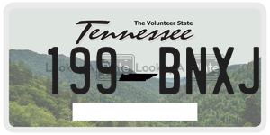 199BNXJ  license plate in TN