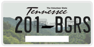 201BGRS license plate in Tennessee
