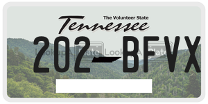 202BFVX  license plate in TN