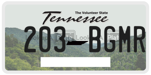 203BGMR  license plate in TN