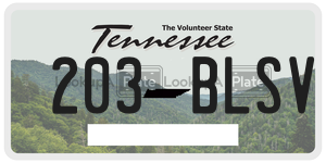 203BLSV  license plate in TN