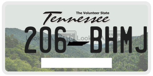 206BHMJ license plate in Tennessee