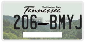 206BMYJ  license plate in TN