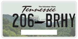 206BRHY  license plate in TN