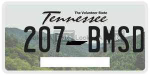 207BMSD  license plate in TN