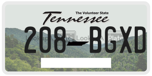 208BGXD  license plate in TN