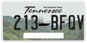 213BFQV  license plate in TN