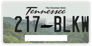 217BLKW  license plate in TN