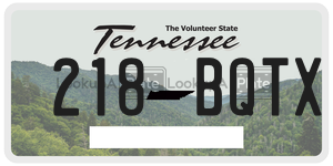 218BQTX  license plate in TN