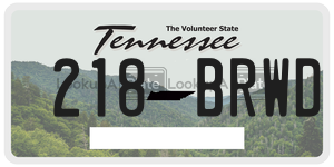 218BRWD  license plate in TN