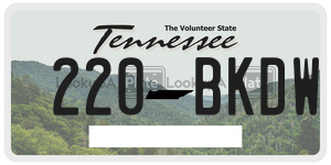 220BKDW  license plate in TN