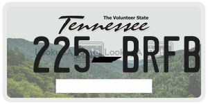 225BRFB  license plate in TN