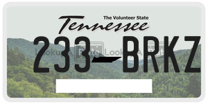 233BRKZ  license plate in TN