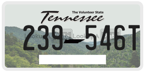 239546T license plate in Tennessee