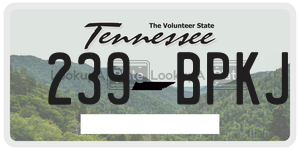 239BPKJ  license plate in TN