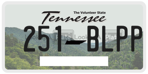 251BLPP  license plate in TN